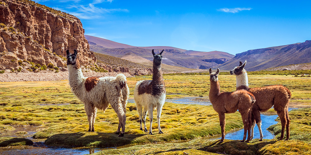 Circuit-Pérou-et-Bolivie-les-plus