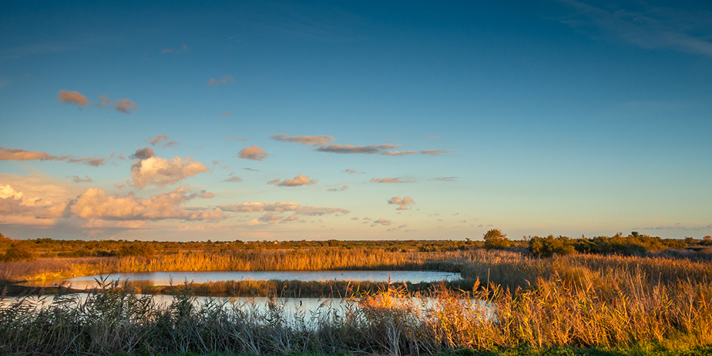 La-rochelle-et-ses-îles-ré-prochains-départs