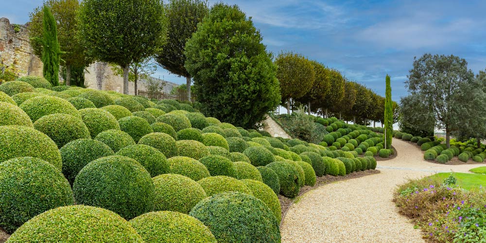 Séjour-Zoo-de-Beauval-et-Val-de-Loire-jour1