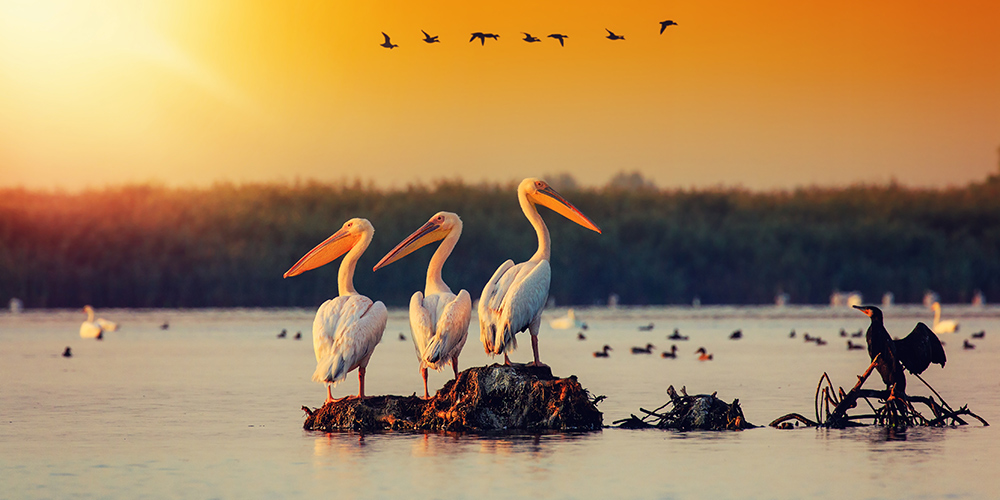 croisière-sur-le-danube-delta-prochains-départs