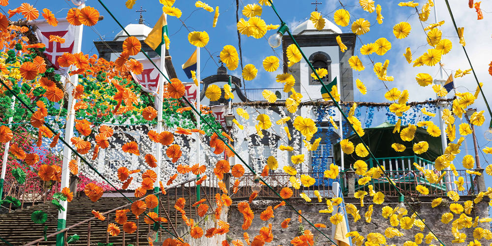 fleurs-madere-lîle-aux-fleurs