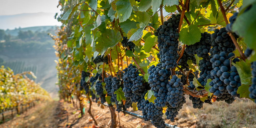 lubéron-zen-et-actif-en-bref