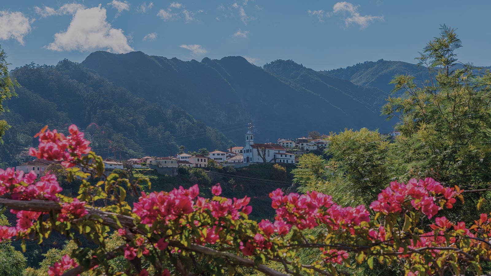 madere-île-aux-fleurs