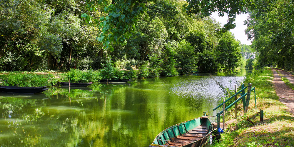 marais-poitevins-voyage-La-Rochelle