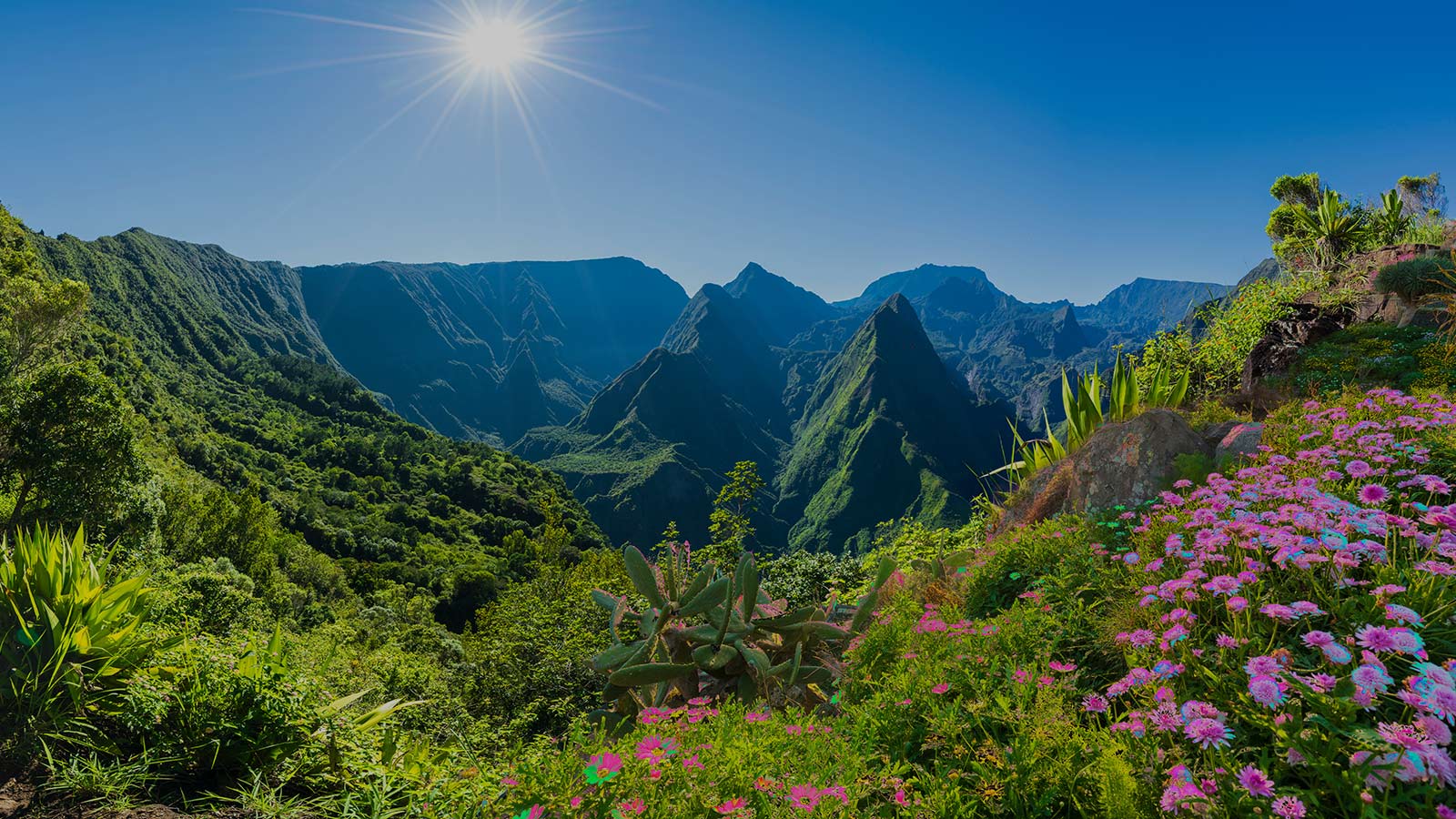 voyage-à-la-réunion-image-de-fond