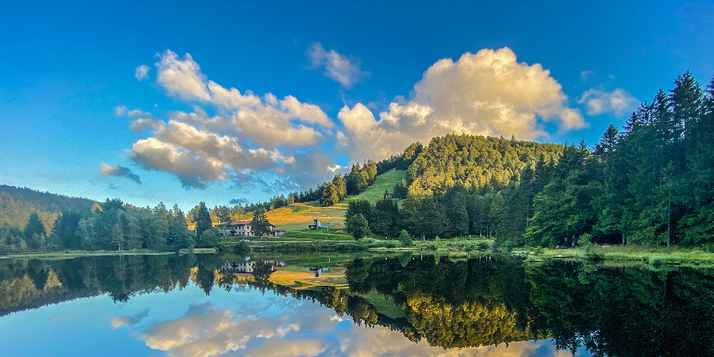 les-vosges-région-grand-est