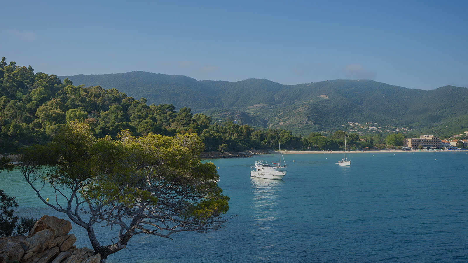 Corso-fleuri-du-Lavandou-image-de-fond
