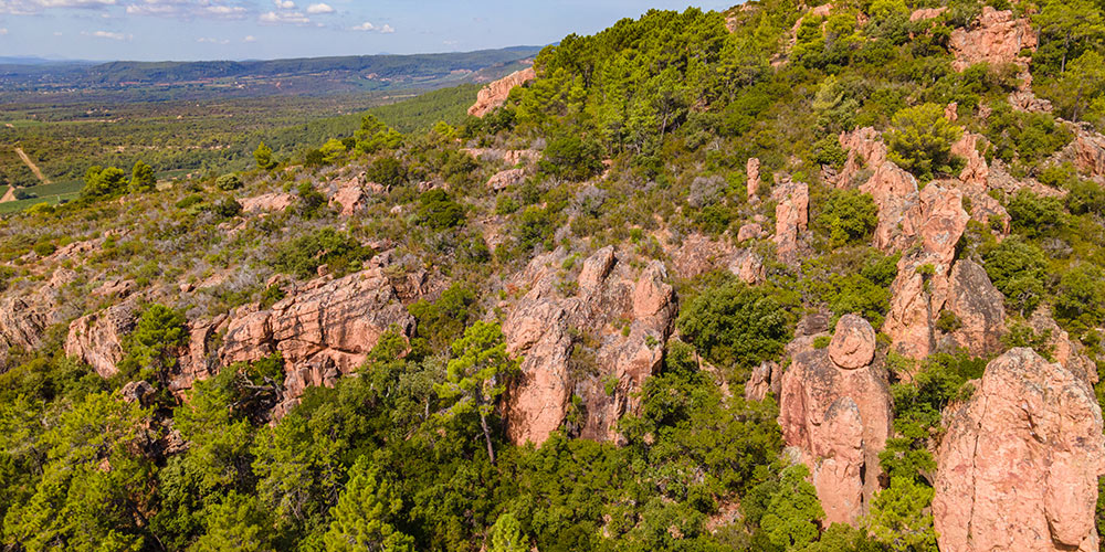 Corso-fleuri-du-Lavandou-les-plus