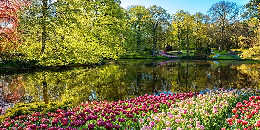 Les-Pays-Bas-en-fleurs-prochains-départs