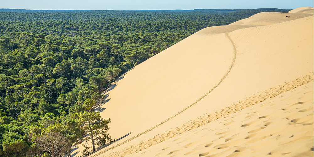 Pilat-destination-Nouvelle-Aquitaine