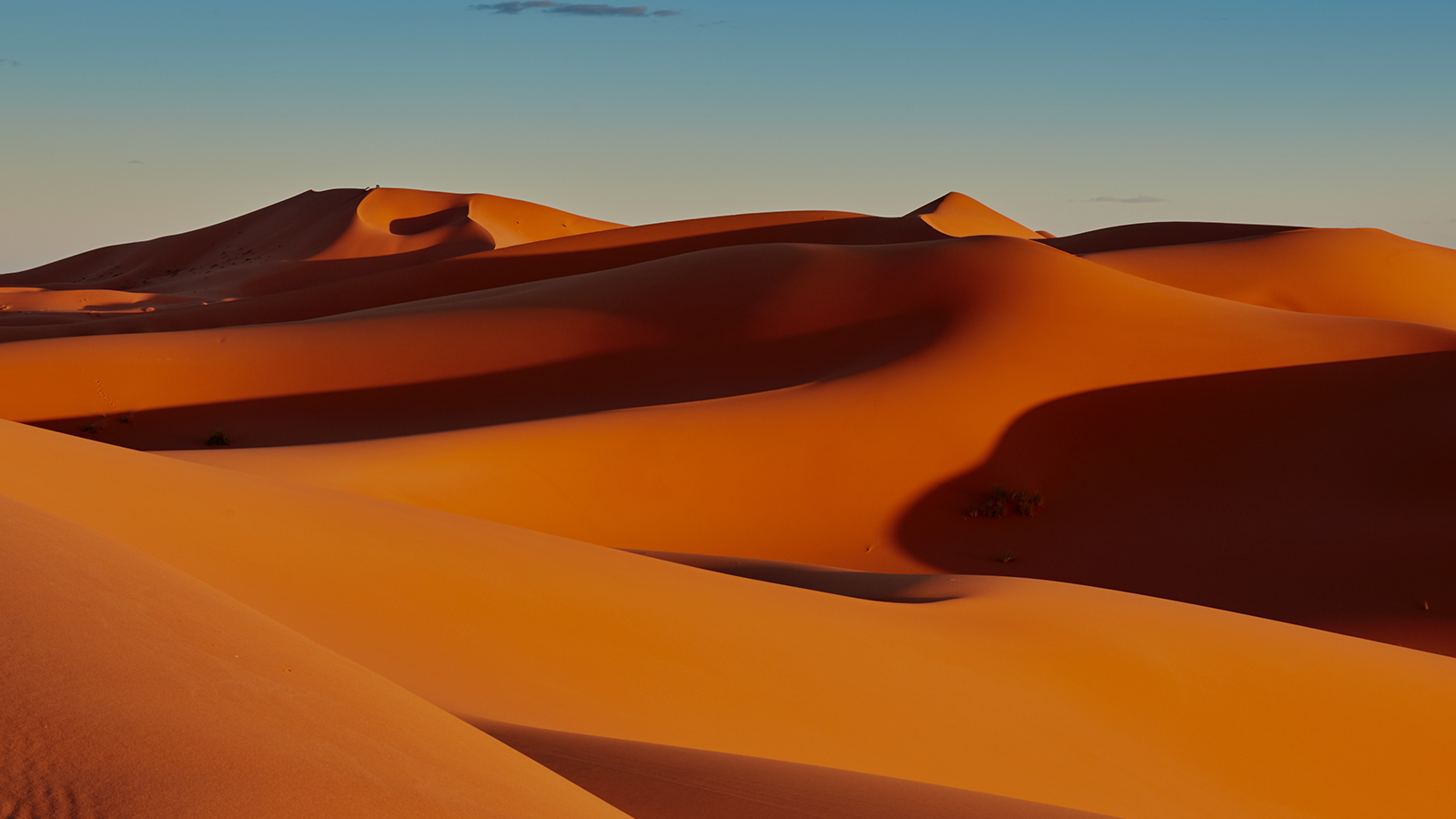 fond-afrique-et-orient