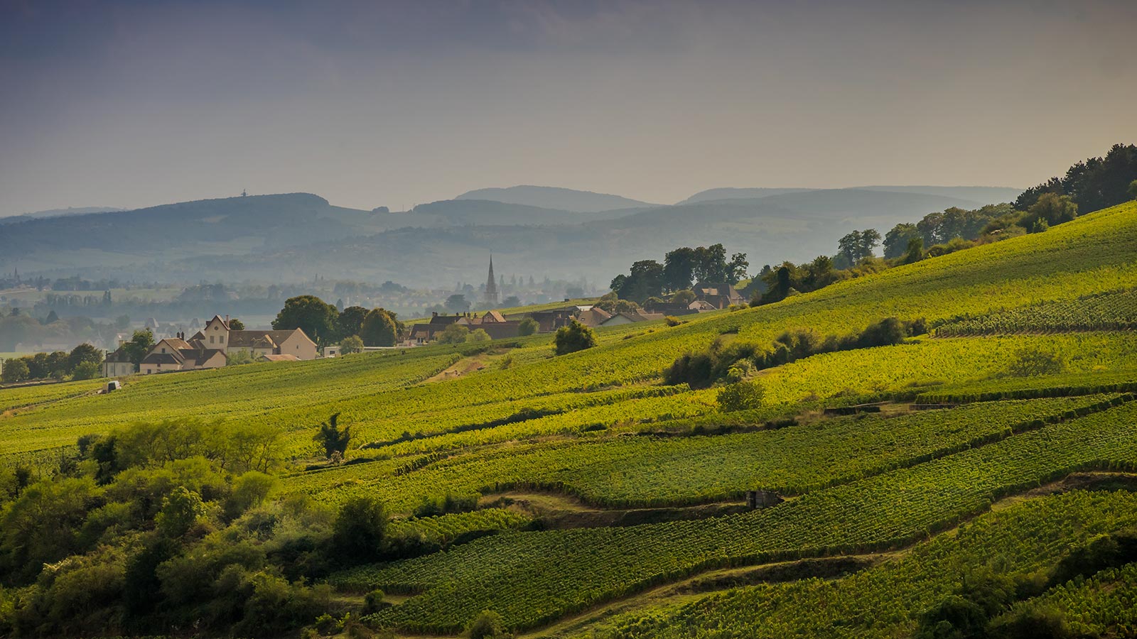 fond-destination-Bourgogne-Franche-Comte
