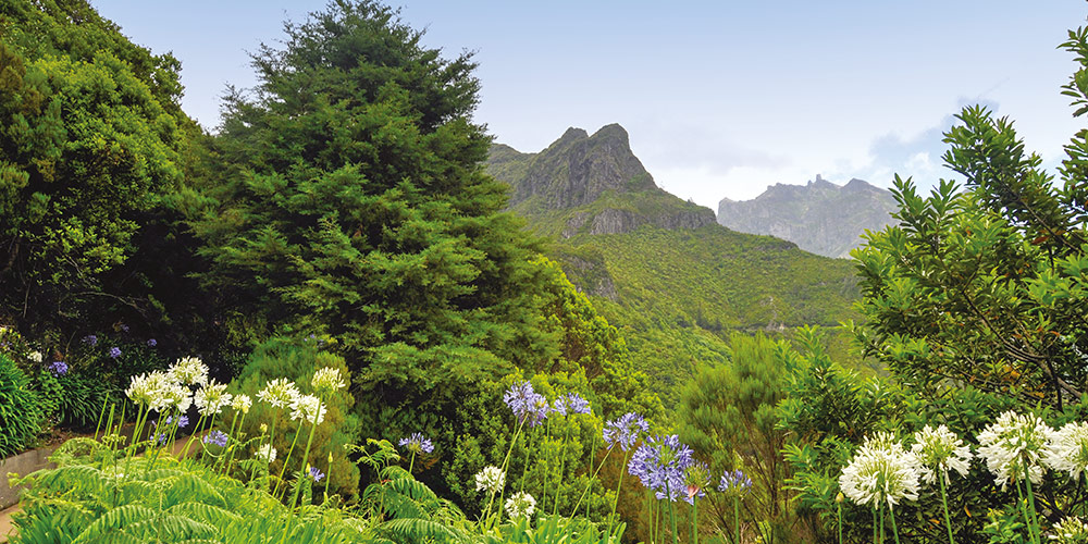 montagne-destination-Madere