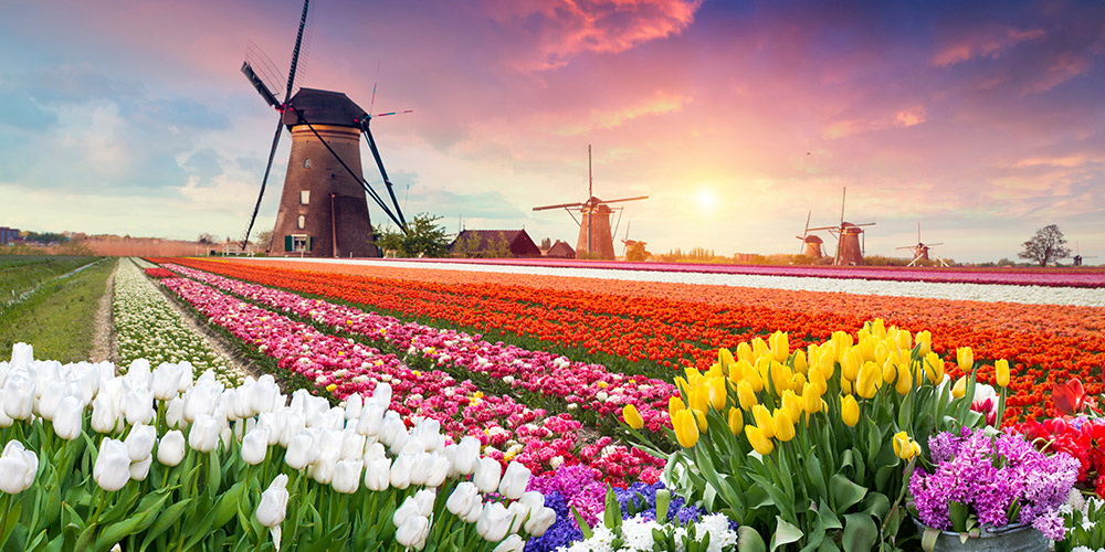 moulin-destination-Pays-Bas