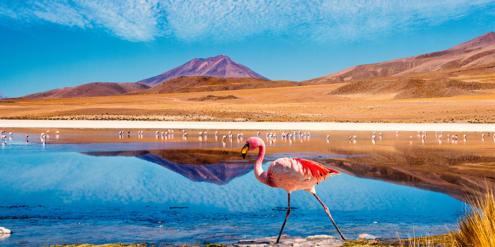 nature-destination-Bolivie