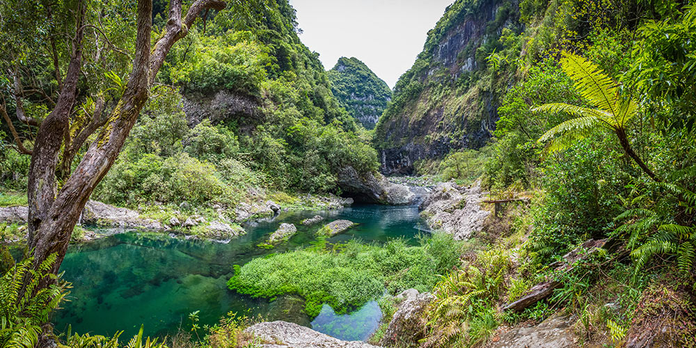 nature-destination-La-Reunion