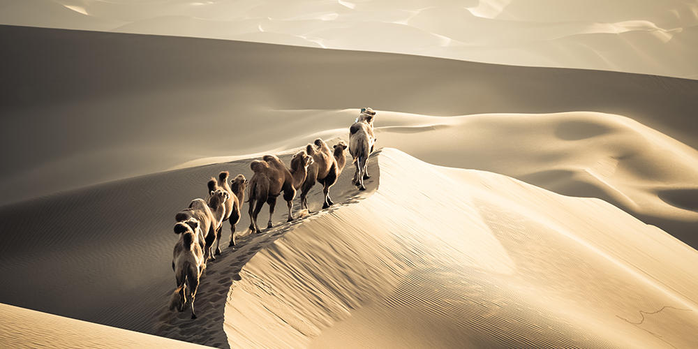 nature-destination-Ouzbekistan