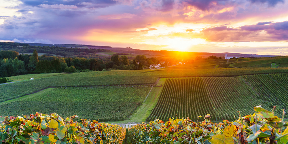 séjour-en-champagne-fêtez-une-nouvelle-année-pétillante-les-plus