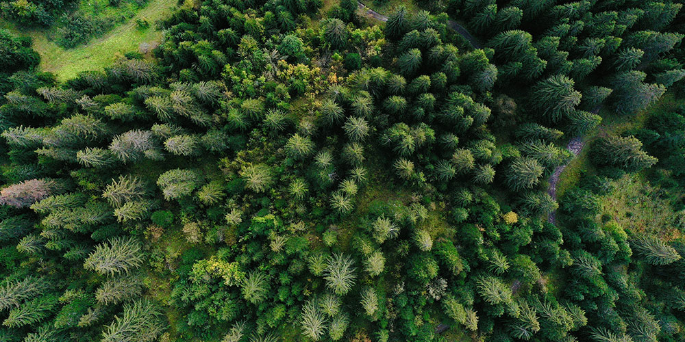 partenariat-Stock-CO2