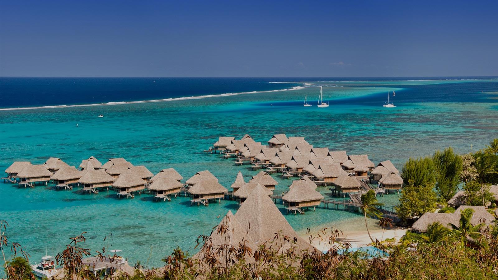 polynesie-francaise-fond