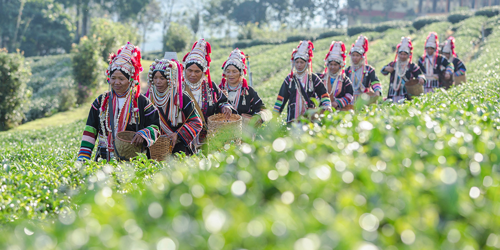 tribu-destination-Thailande