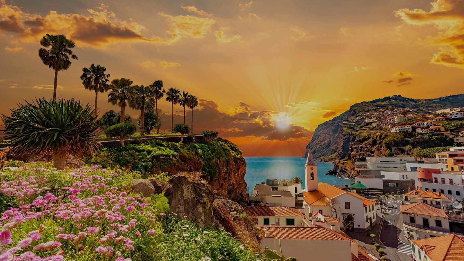 voyage-à-madère-image-de-fond