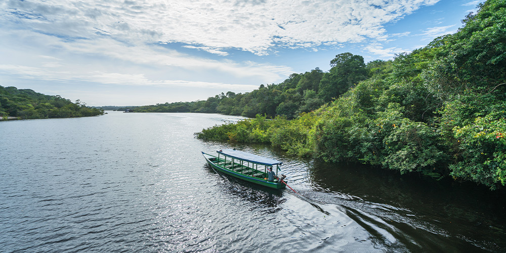 brésil amazonie bloc 2