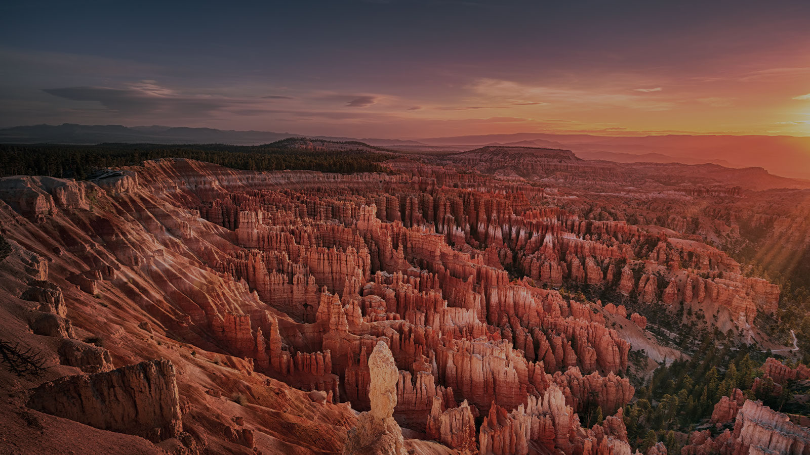 fond-destination-Amerique