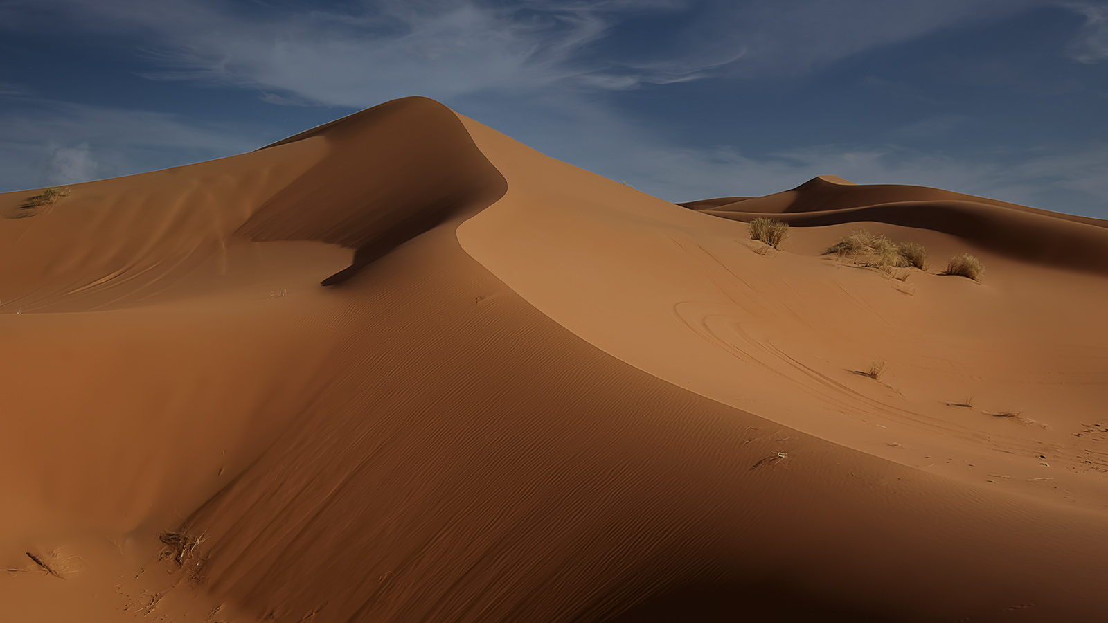 fond-destination-Tunisie