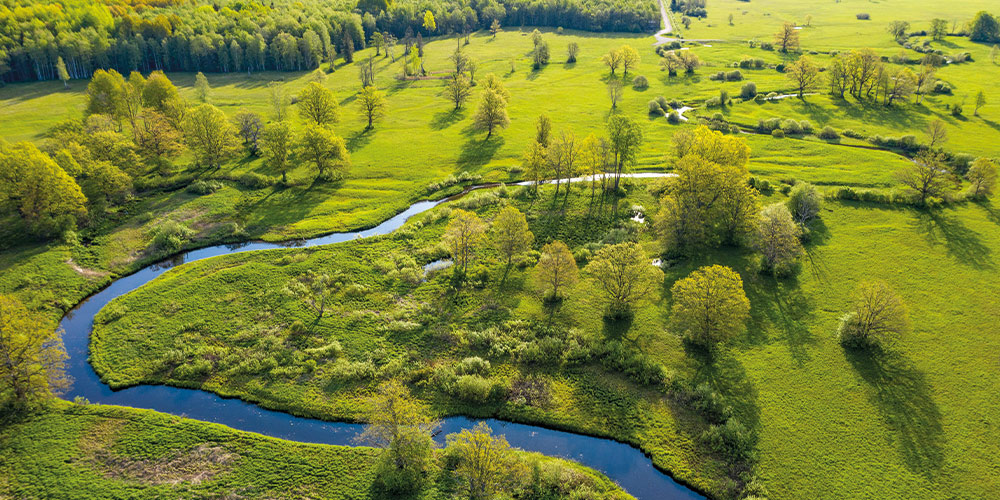 nature-destination-Estonie