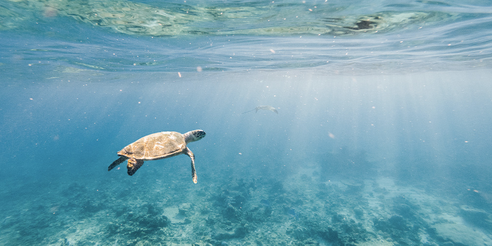 nature-destination-Maldives