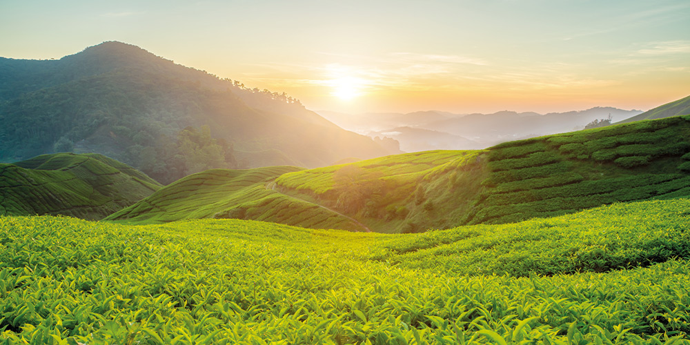 paysage-destination-Malaisie