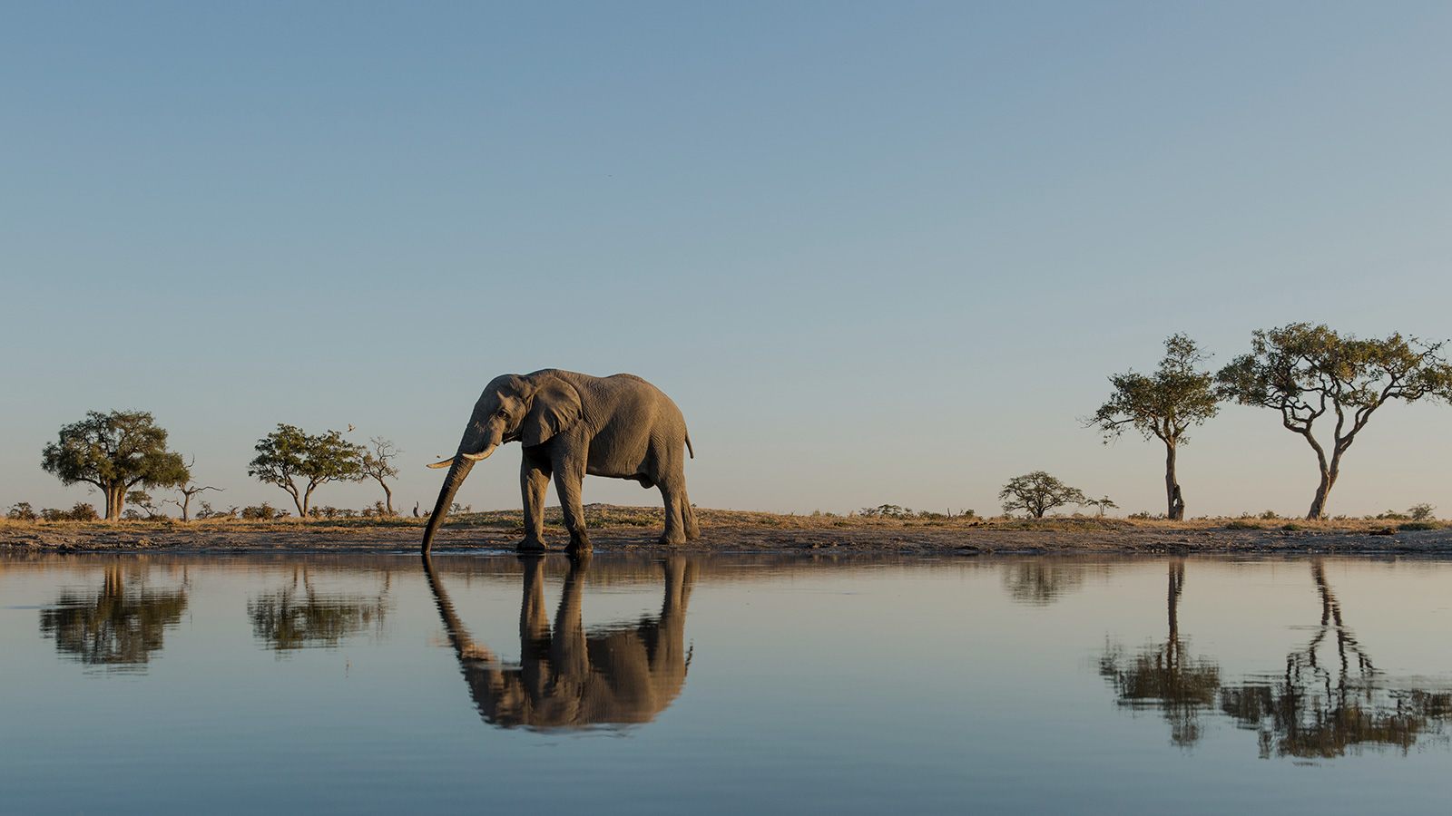 voyage-Botswana-image-de-fond