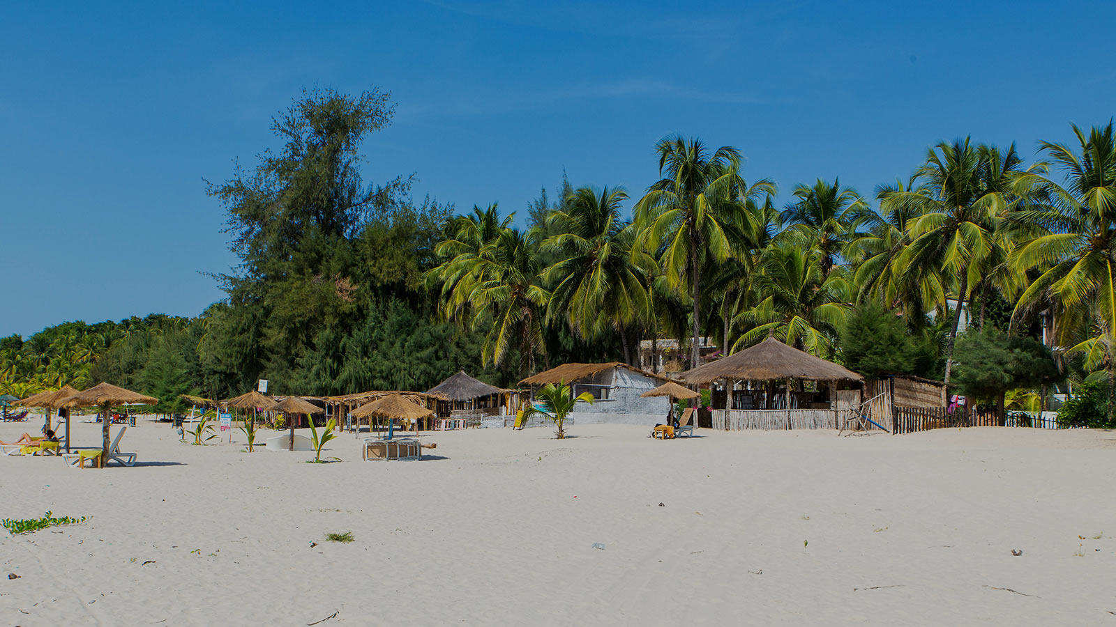 sénégal-image-de-fond