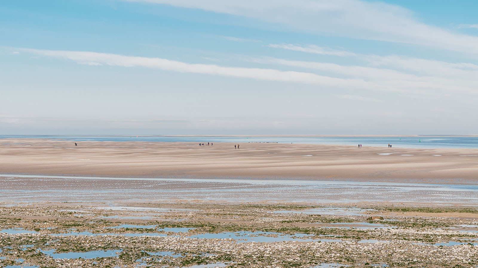 Baie-de-Somme-image-de-fond