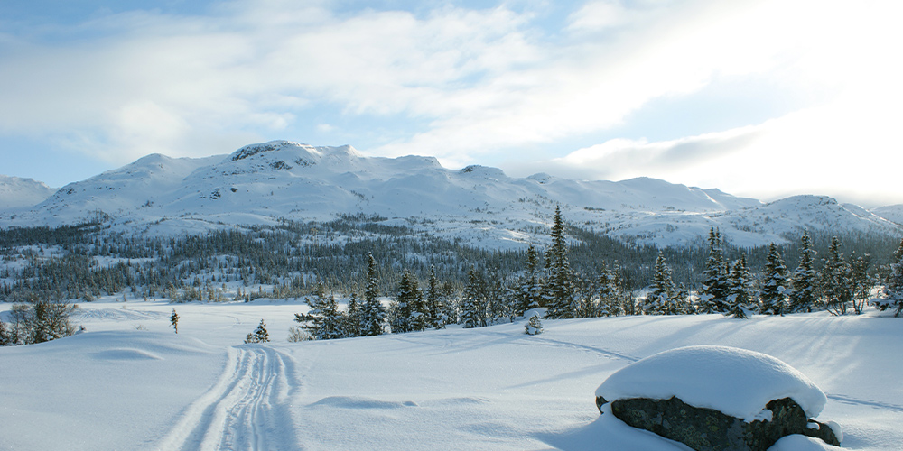 le-Telemark-norvege-route-des-trolls