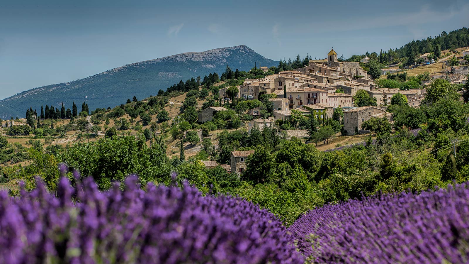 lubéron-couleurs-et-saveurs-de-provence-image-d
