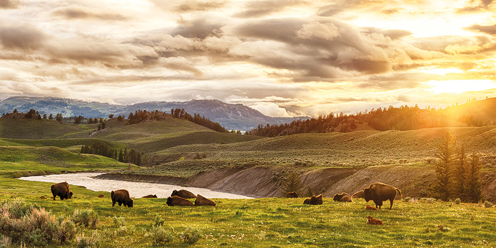 plaine-ouets-sauvage