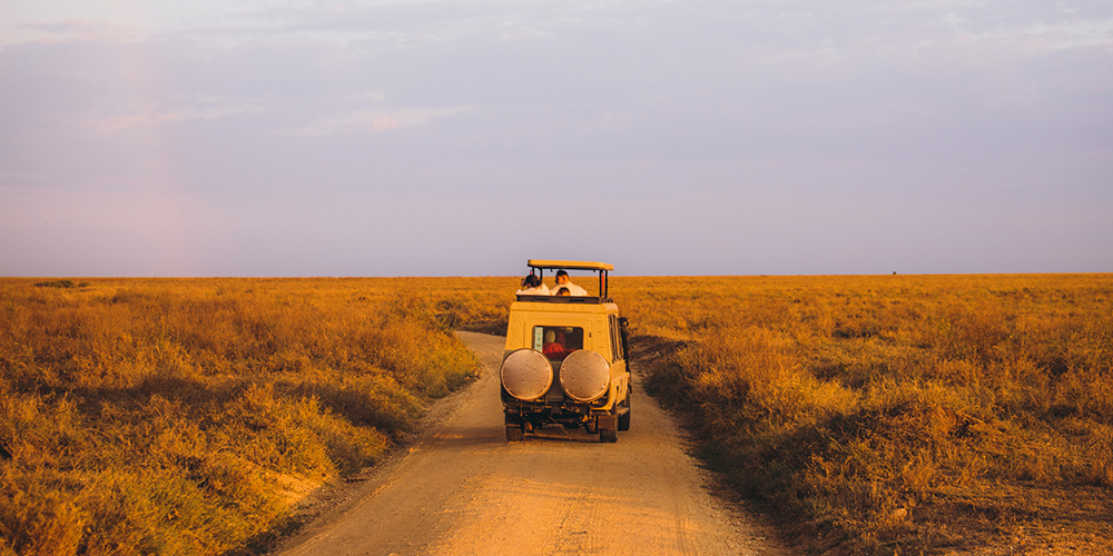 La-Tanzanie-faune-jour-5