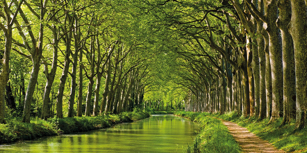jardin-canal-du-midi