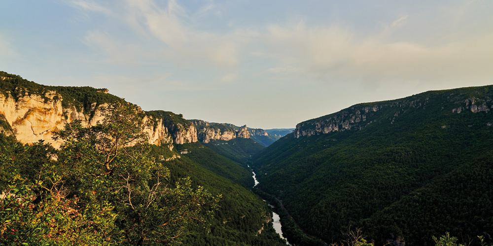 parc-national-des-Cévennes-ardeche-en-liberte