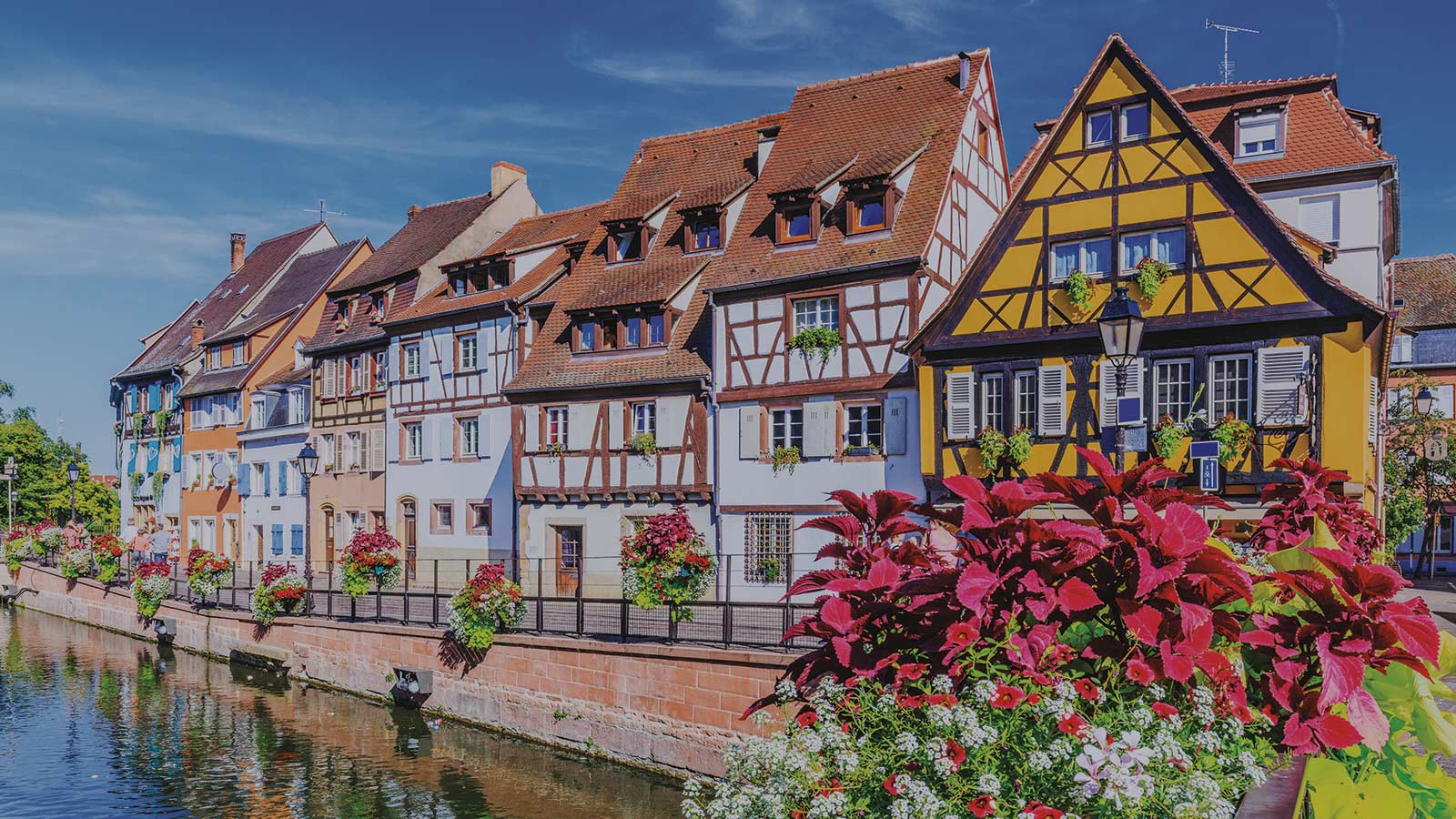 séjour-en-alsace-image-de-fond