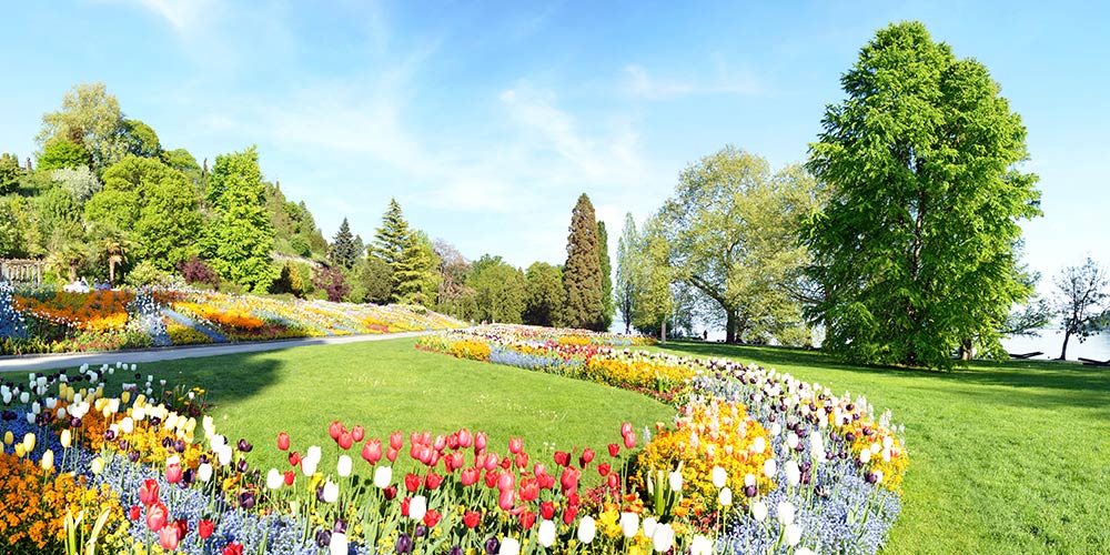 circuit-de-la-fôret-noire-ile-aux-fleurs-les-plus