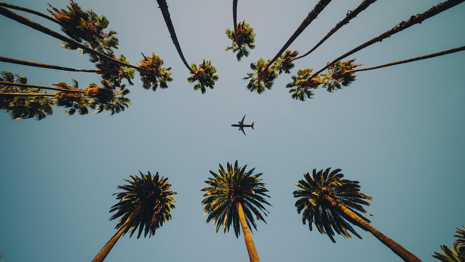 voyages-en-avion-image-de-fond