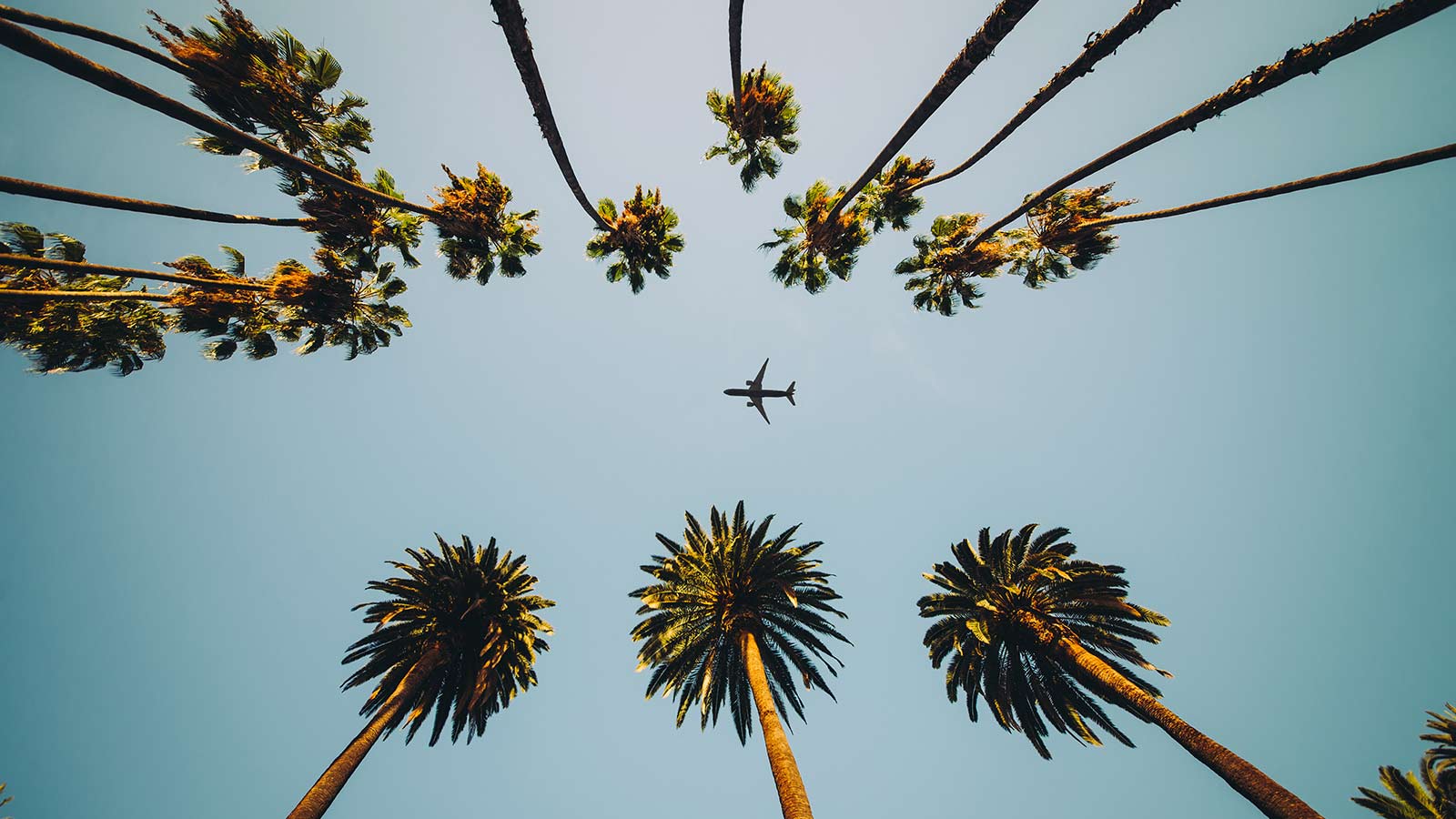 voyages-en-avion-vignette