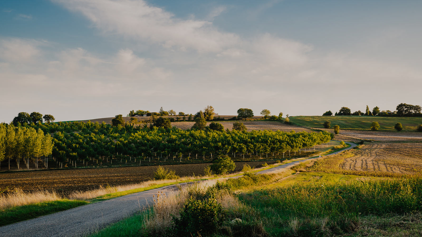 Nouvel-an-dans-le-Gers-fond