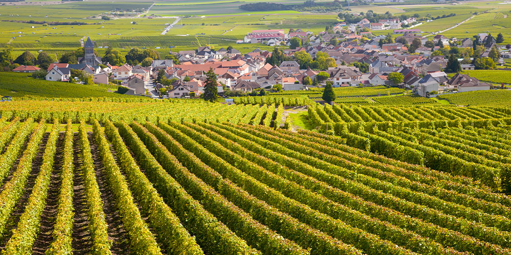 région-journée-bourgogne